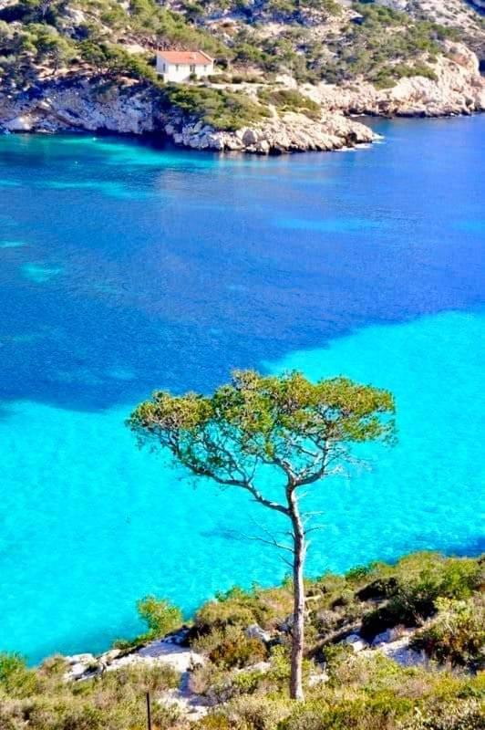 Mon Petit Paradis, Cassis Centre Apt 90 M2, 200 M Mer, Terr Plein Sud, Clim Park Prive Eksteriør billede
