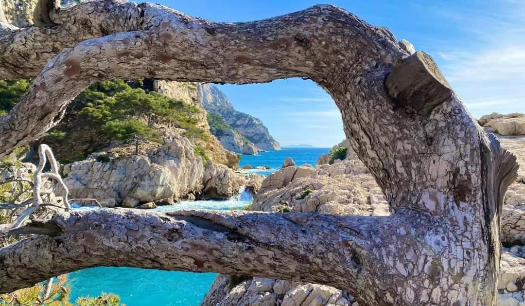Mon Petit Paradis, Cassis Centre Apt 90 M2, 200 M Mer, Terr Plein Sud, Clim Park Prive Eksteriør billede